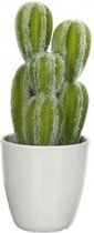 Groene Euphorbia/cowboycactus kunstplant 28 cm in witte plastic pot - Kunstplanten/nepplanten