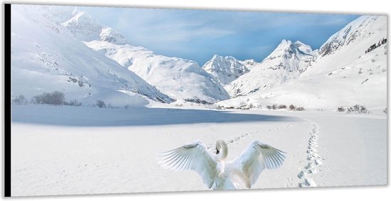 Dibond –Witte Zwaan bij Besneeuwde Bergen– 200x100 Foto op Aluminium (Wanddecoratie van metaal)