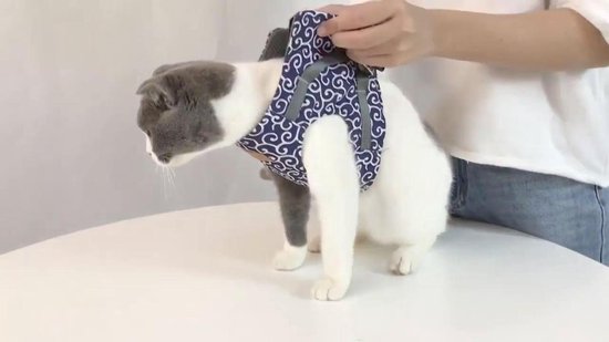 Superleuk harnas speciaal voor katten - katten harnas - leiband - S - ROOD  | bol.com
