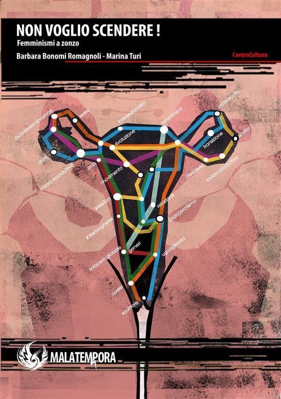 Contro Cultura - Non voglio scendere - cover