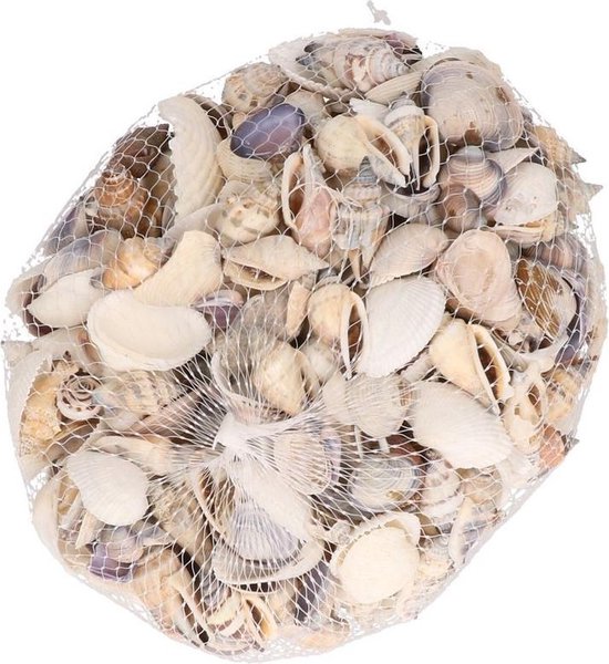 Decoratie/hobby kleine/mini schelpen 400 gram - Echte schelpjes -  Maritiem/zee/strand... | bol.com
