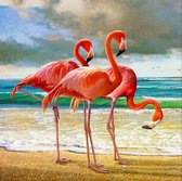 Schilderen op nummer volwassenen, schilderen op nummer kinderen, Flamingo 40X50