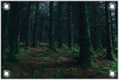 Tuinposter –Donkere Bomen in het Bos– 150x100 Foto op Tuinposter (wanddecoratie voor buiten en binnen)