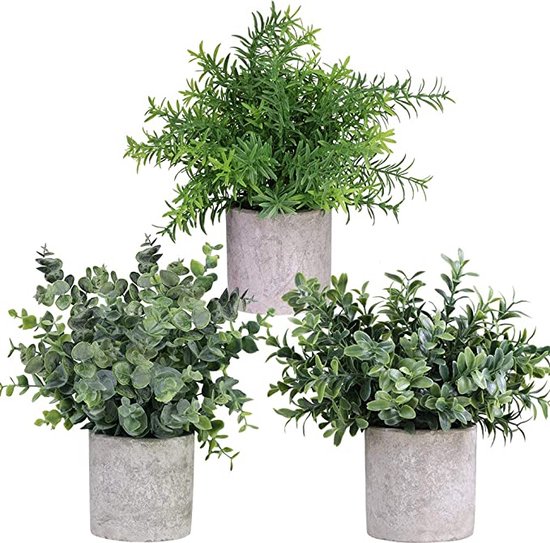Plantes Plantes artificielles GreenDream - Petites Plantes Artificielles - Plantes d' Plantes d'intérieur - lot de 3 - 20x10cm