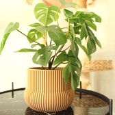QOME Hudson - bloempot - plantenpot - designer - eikenhout - 9cm