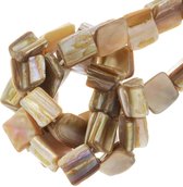 Schelp Kralen (8 x 8 mm) Brown (48 Stuks)