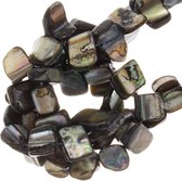 Schelp Kralen (8 x 8 mm) Grey (48 Stuks)