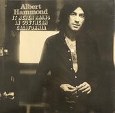 It Never Rains In Southern California (LP)