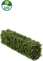 Greenmoods Kunstplanten - Kunstplant - Buxushaag - UV - 100x20x25cm