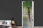 Deursticker De dwergbijeneter zit op een tak - 90x235 cm - Deurposter