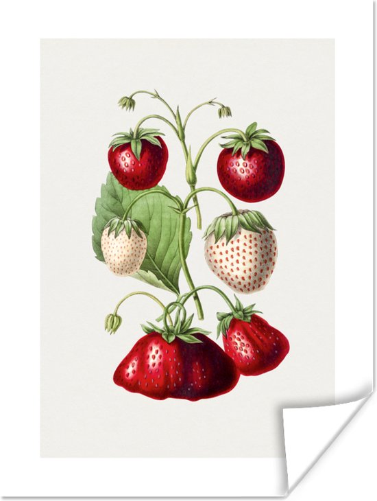 Poster Aardbei - Eten - Fruit - 30x40 cm