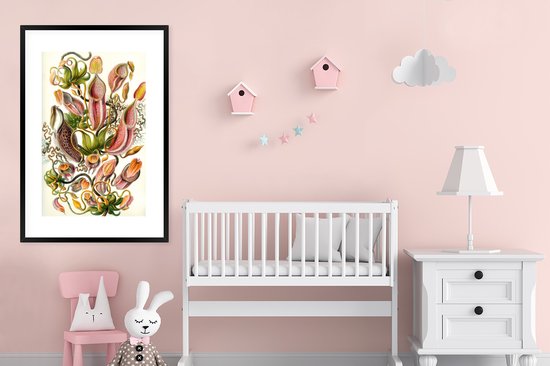 Affiche avec cadre Design - Botanique - plant carnivore - Ernst Haeckel - 80x120 cm