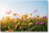 Bloemen in veld met zonsondergang - 90x60 Canvas Liggend - Natuur - Bloemen