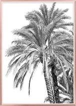 Poster Met Metaal Rose Lijst - Oman de Palm Poster