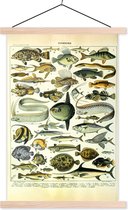 Affiche scolaire - Pêche - Animaux - Vintage - 40x60 cm - Lattes vierges
