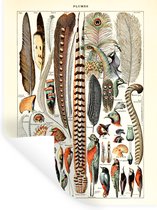Muurstickers - Sticker Folie - Veren - Dieren - Vogels - 60x80 cm - Plakfolie - Muurstickers Kinderkamer - Zelfklevend Behang - Zelfklevend behangpapier - Stickerfolie