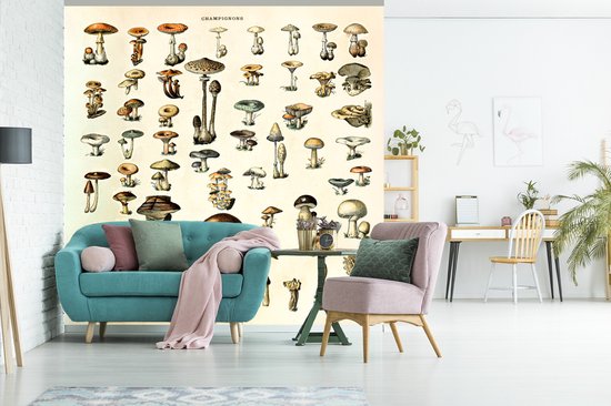 Behang - Fotobehang Paddenstoel - Herfst - Seizoenen - Vintage - Adolphe Millot - Natuur - Breedte 220 cm x hoogte 220 cm