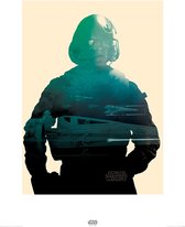 Star Wars Episode VII Poe Tri Art Print 60x80cm