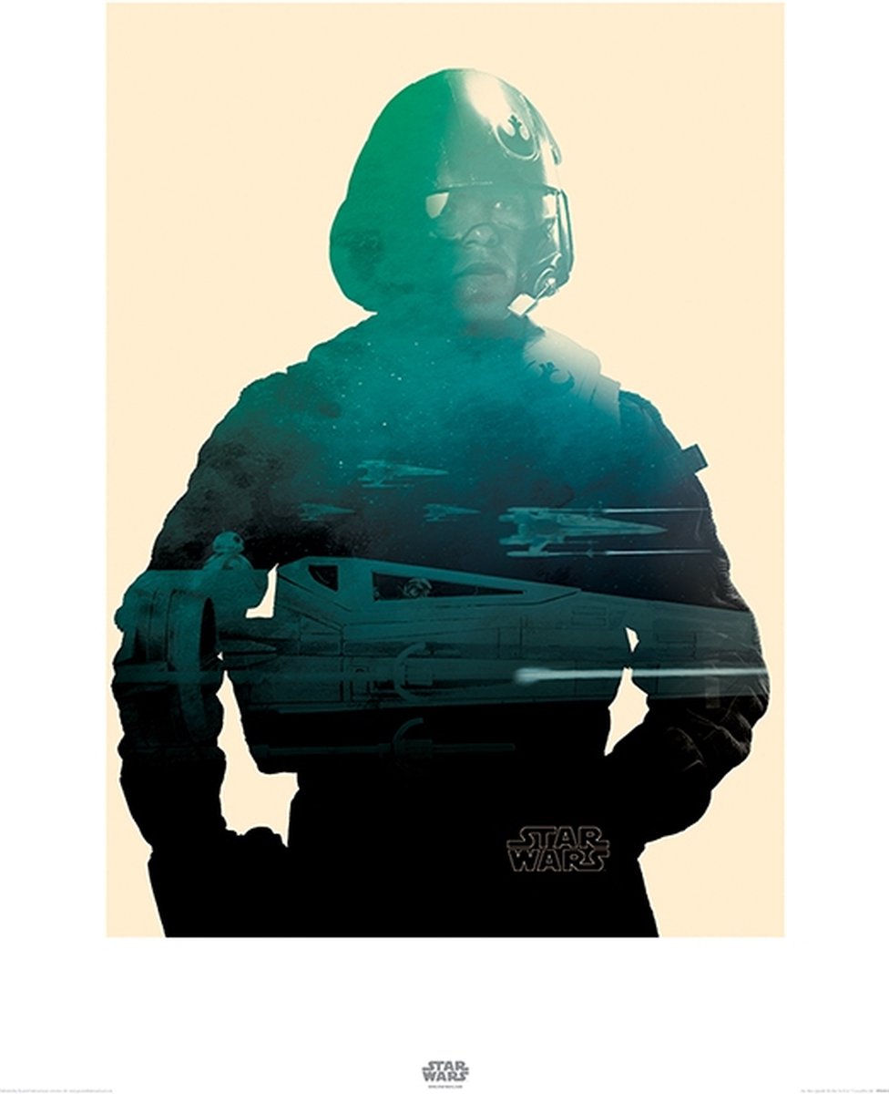 Star Wars Episode VII Poe Tri Art Print 60x80cm | Poster Multi color
