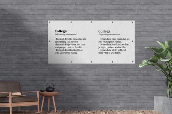 Décoration murale d'extérieur Citations - Proverbes - 'Colègue' - 160x80 cm - Toile de jardin - Poster extérieur