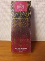 N.N.P Skin Care Volume Mascara amazing Curing Black