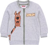 Grijs gemêleerd babysweatshirt - SCOOBY-DOO / 98 cm