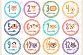 Baby Stickers - Newborn Stickers - 2x A5 stickervellen - Geboorte - Sluitsticker - Planner Agenda Stickers - Afzegelsticker - Cadeausticker - Uitdeelsticker