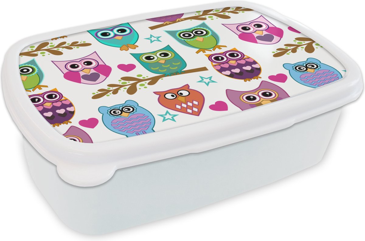 Broodtrommel Wit - Lunchbox - Brooddoos - Design - Uilen - Dieren - 18x12x6 cm - Volwassenen