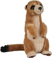 Pluche knuffel dieren Stokstaartje 18 cm - Speelgoed wilde dieren knuffelbeesten