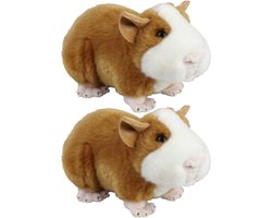 2x stuks pluche Cavia knuffel 18 cm - Cavia huisdieren knuffels - Speelgoed