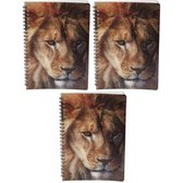 3x stuks leeuw schrift 3D 21cm - opschrijfboekjes/notitieboekje/school schriften