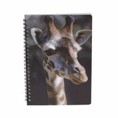 Giraffe schrift 3D 21cm - opschrijfboekjes/notitieboekje/school schriften