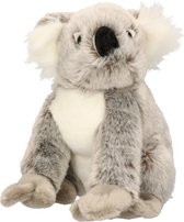 Pluche knuffel koala beer 25 cm - Australische dieren knuffels