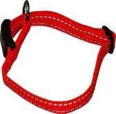 Boon Dog fashion nylon halsband verstelbaar oranje/reflecterend, 10 mm 20-35 cm.