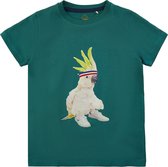 The New t-shirt jongens - groen - TNcockachoe TN4264 - maat 146/152