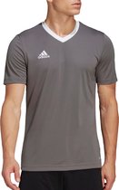 adidas Performance Entrada 22 Voetbalshirt - Heren - Grijs- XL