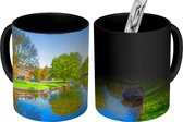Magische Mok - Foto op Warmte Mok - Planten - Water - Haarlem - 350 ML - Uitdeelcadeautjes
