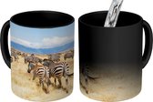 Magische Mok - Foto op Warmte Mok - Kudde zebra's in de Ngorongoro-krater - 350 ML - Uitdeelcadeautjes