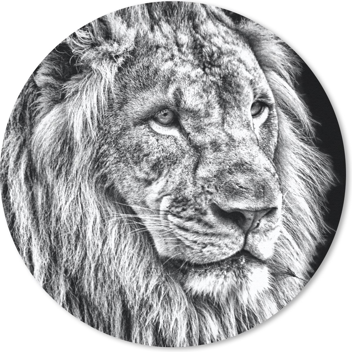 Muismat rond 40x40 cm - Mousepad Portret - Leeuw - Zwart - Wit - Ronde muismatten