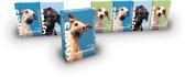 Graanvrij hondenmenu Dyvers - Dagelijks wisselende hondenbrokken - 100% natuurlijk - Graanvrij hondenvoer - 7x1kg