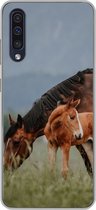 Geschikt voor Samsung Galaxy A50 hoesje - Paarden - Veulen - Natuur - Siliconen Telefoonhoesje