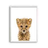 Poster Jungle / safari baby cheeta / Jungle / Safari / 80x60cm