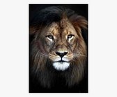 Lion Head XXL foto op plexiglas formaat 100x150cm incl. gratis ophangsysteem