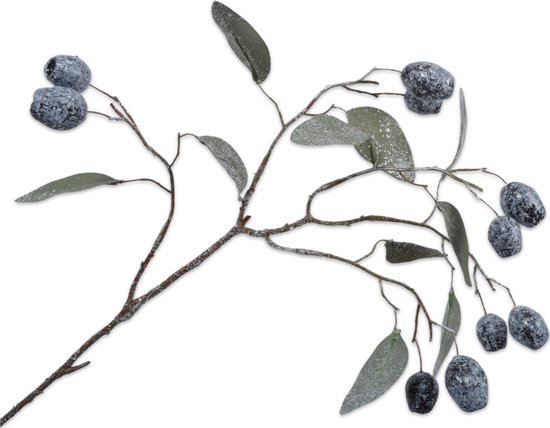 Silk-ka Kunstbloem-Zijde Bloem Eucalyptus Tak Grijs 66 cm