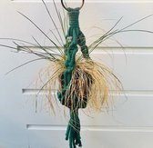 Luna-Leena duurzame macramé mini plantenhanger van katoen - groen - handgemaakt in Nepal - decoratie - L36cm - hanging basket - plant hanger - moederdag
