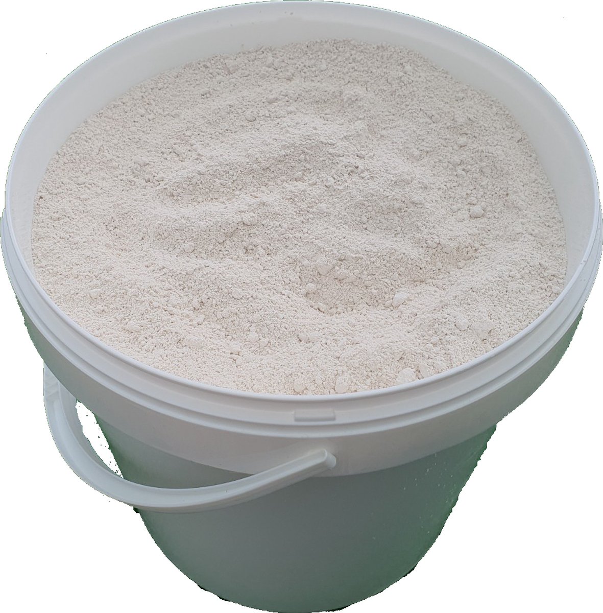 1kg PestiNext Diatomeeënaarde (eco & gifvrij)