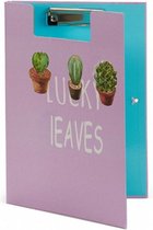 clipmap Cactus A4 karton/rubber paars