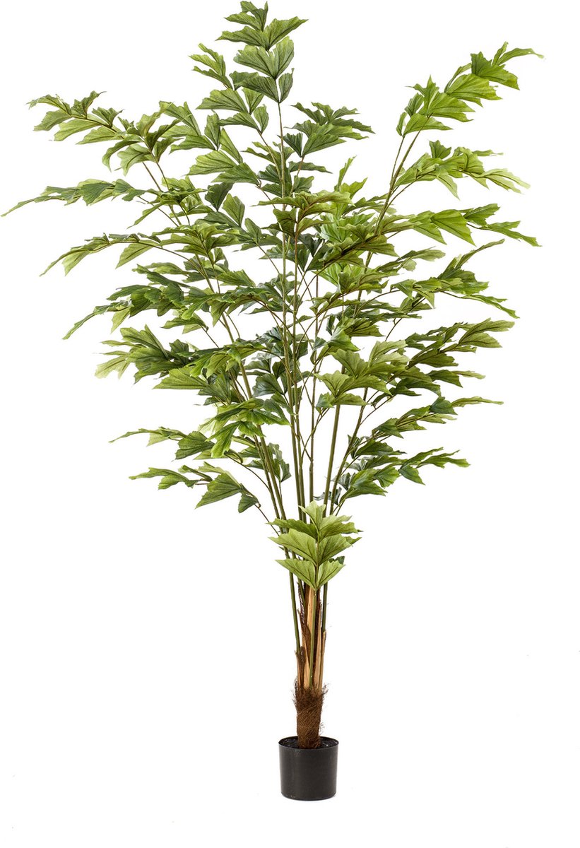 Kunstpalm Fishtail 195 cm