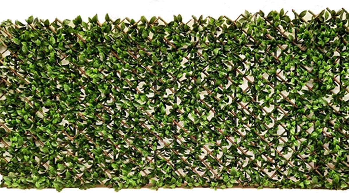 Buitengewoon de boet - Willow Fence uitvouwbaar 100x200 cm