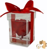Gift Passion Kristallen Doos Longlife Rose – Rood - longlife rozen - cadeau voor vrouw - giftbox -  luxe acryl giftbox